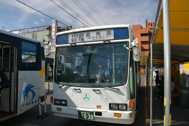 MKFKg37