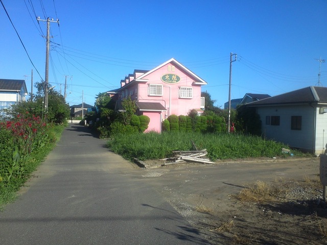 org3433307