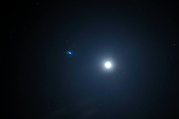org2275146