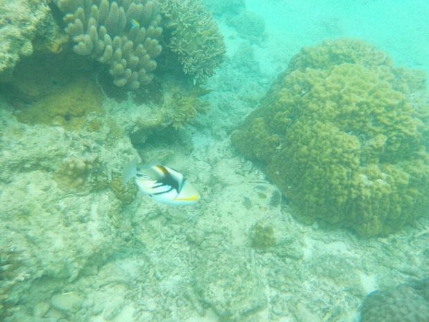 kmeMBx8