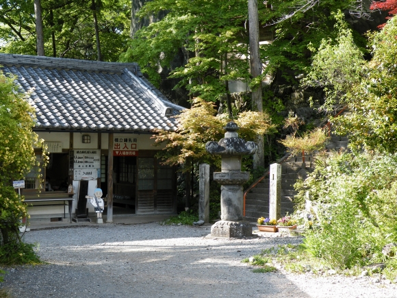 org4233863