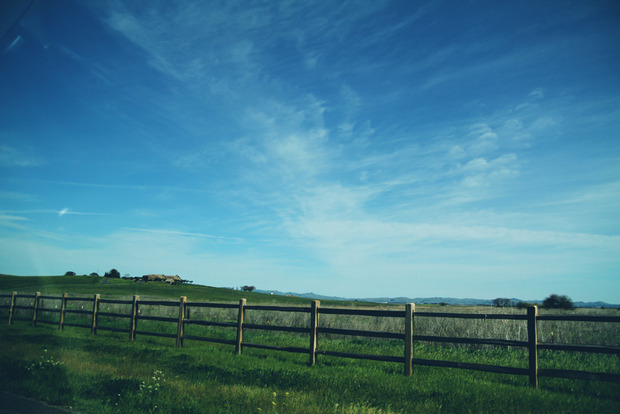 vlphoto017434