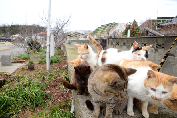 my98083bEgYtUSWBqw0VC4o