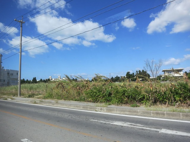 org3489621