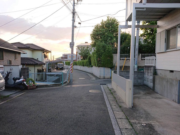 IP3Hu31