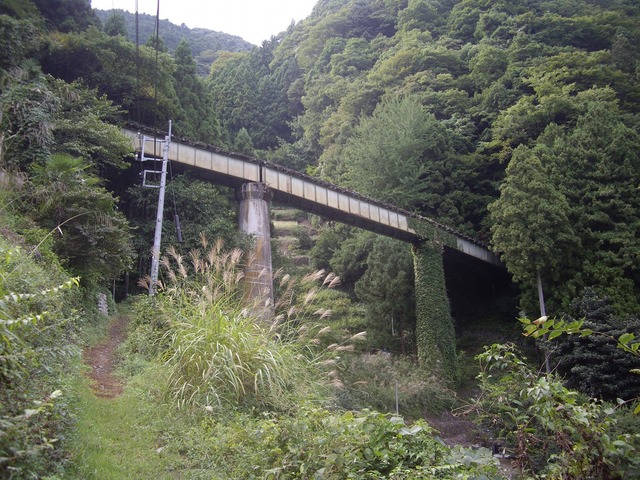 org3457988