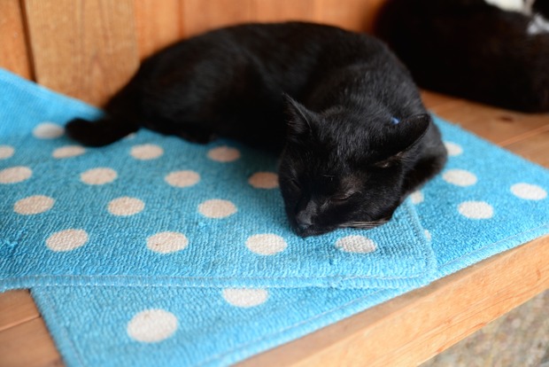 my22845kLMYtAuhkogQASEY