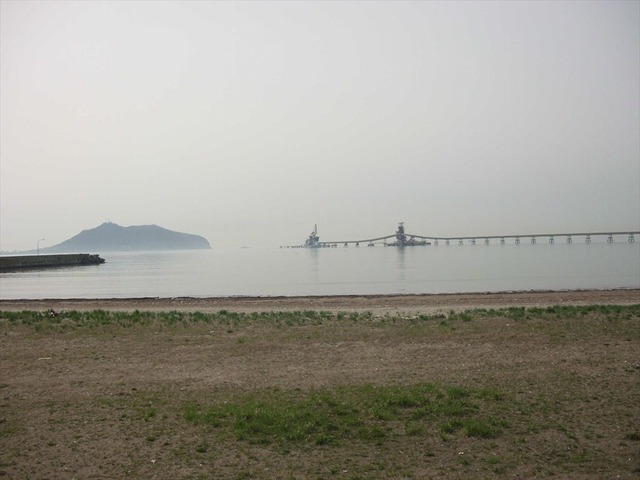 org3481185