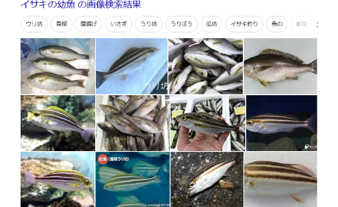 livejupiter-1598937167-618-490x300