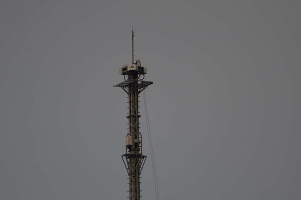 org2538161