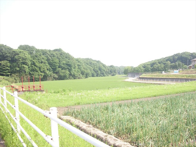 org3481641