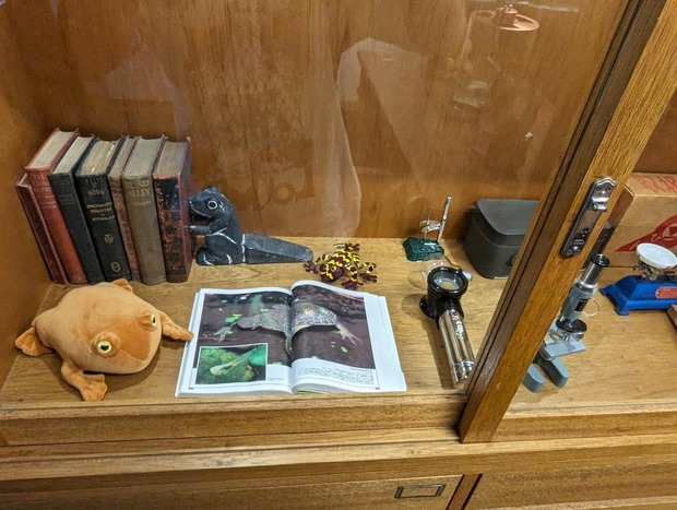 JoqSLqF