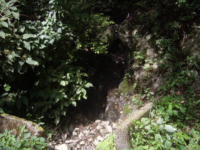 org3458174