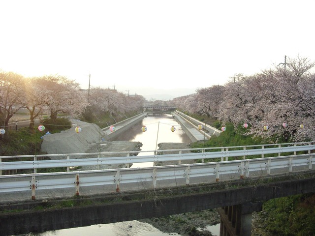 org3480546