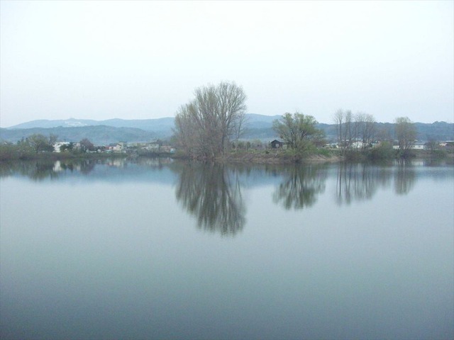 org3481143