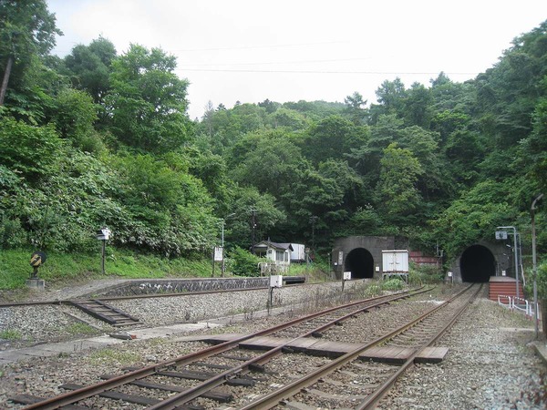 org2469640