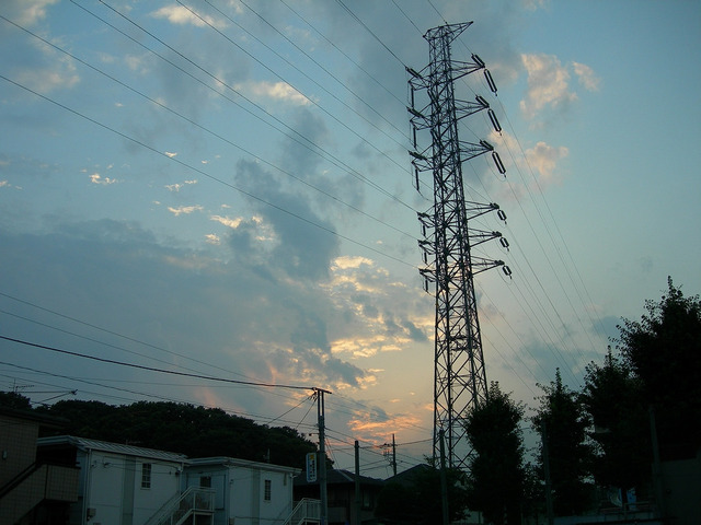 org3574681