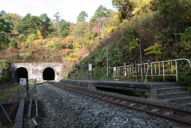 123505339012116224202