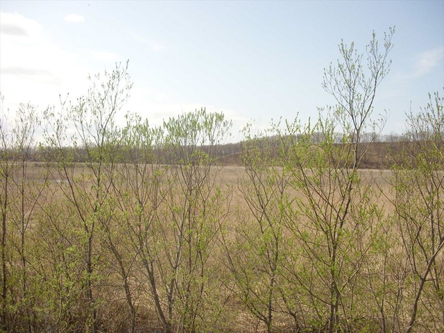 org3481419