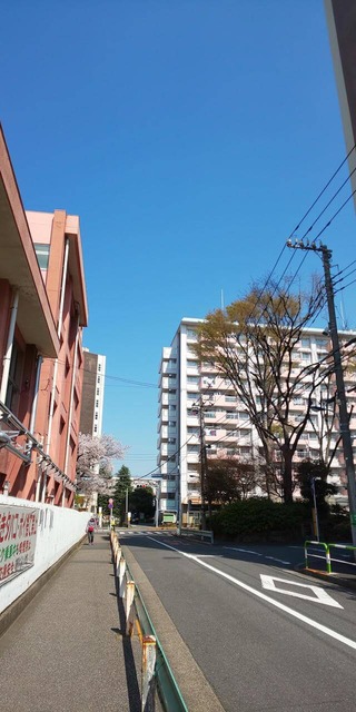 GnASTx6