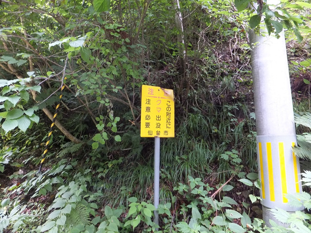 Pb6z1