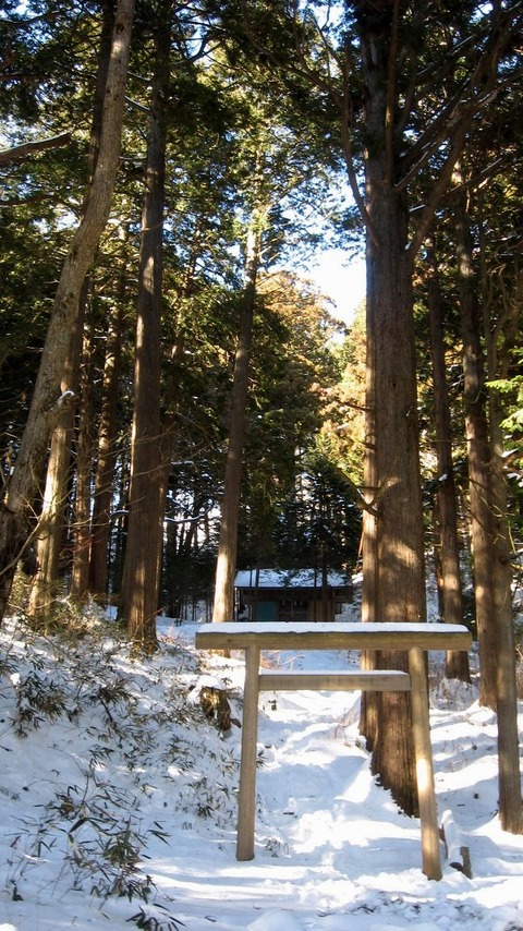 vljiko091438