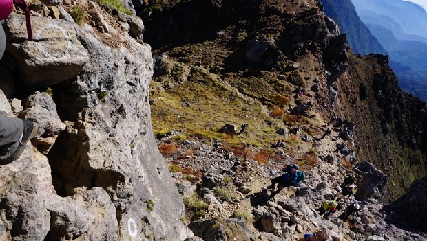 pIqCWUI