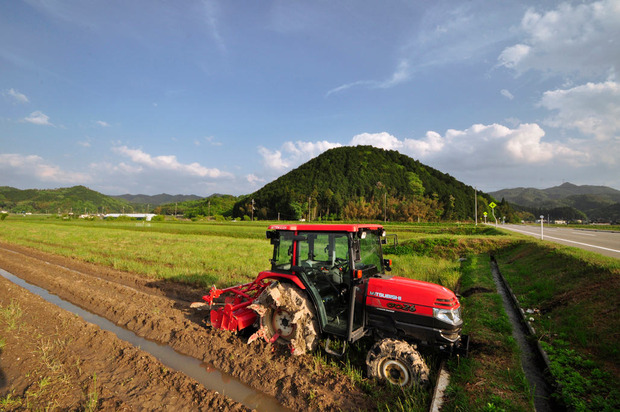 1328716333794
