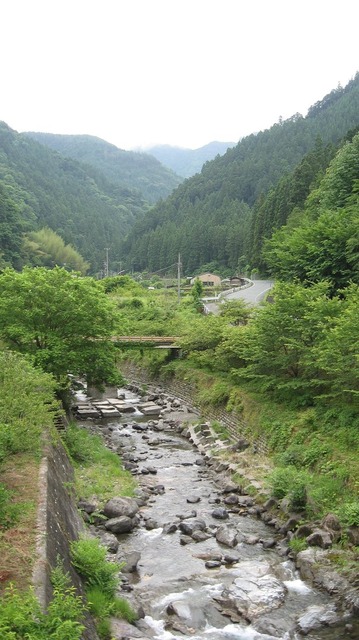 vljiko077241
