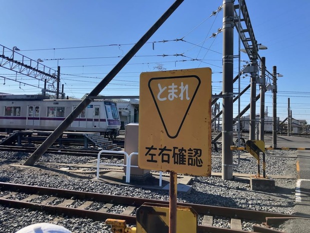 iEhFRdU