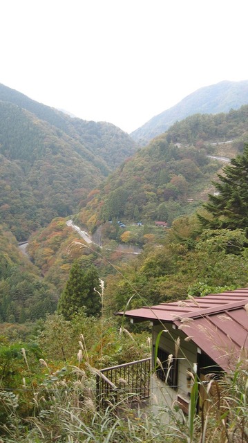 vljiko087496