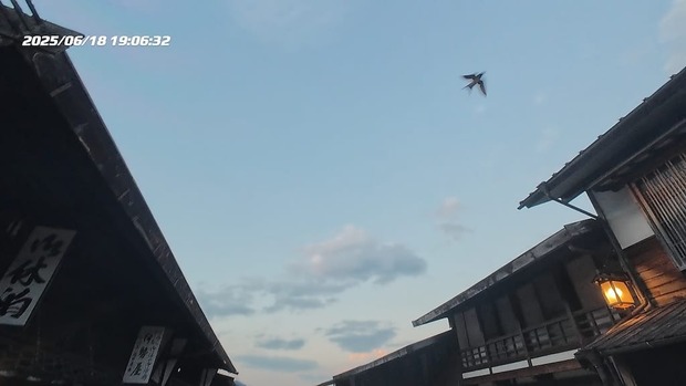 zqfA28S