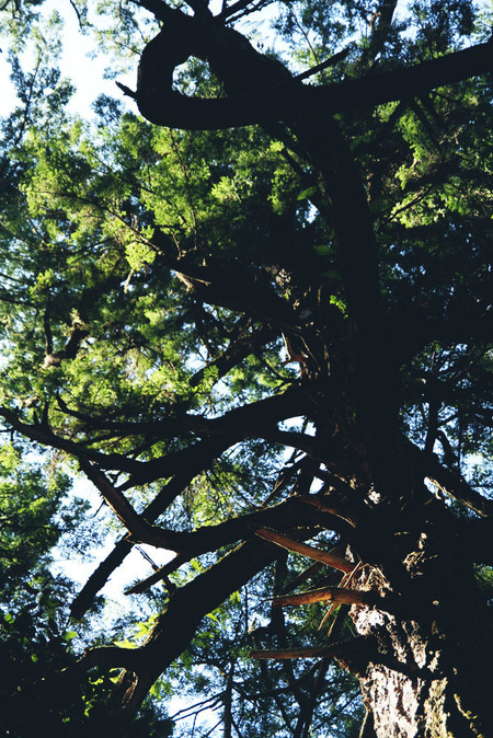 vlphoto017186