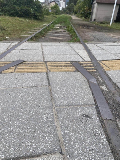 iIQ6urB