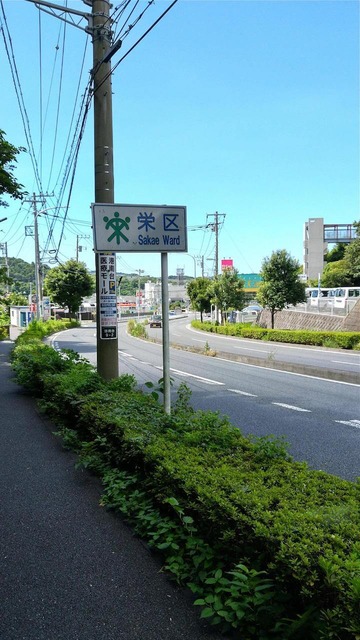 LXAVpD1