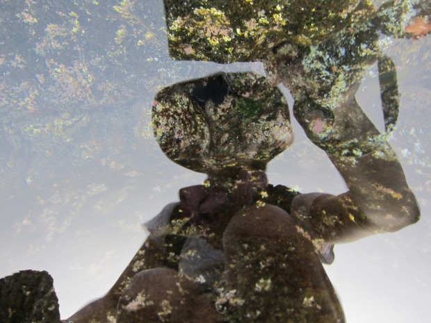 org2890650