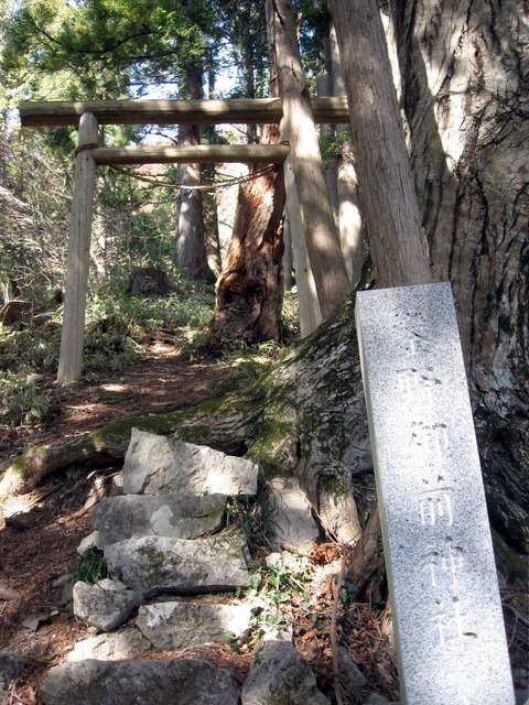 vljiko091480