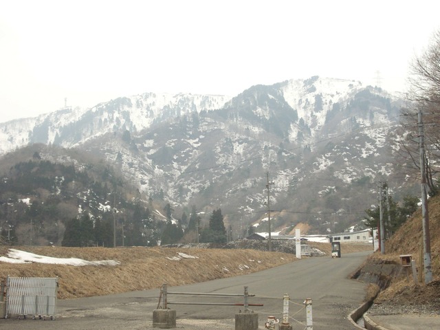 org3480599