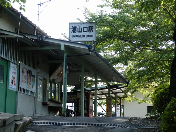 org4233917