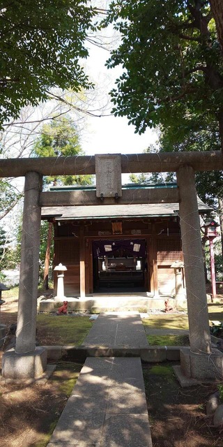QTcvTse