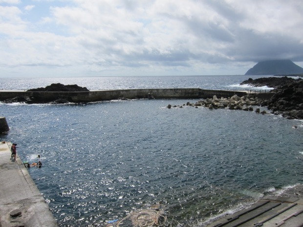 org2890636
