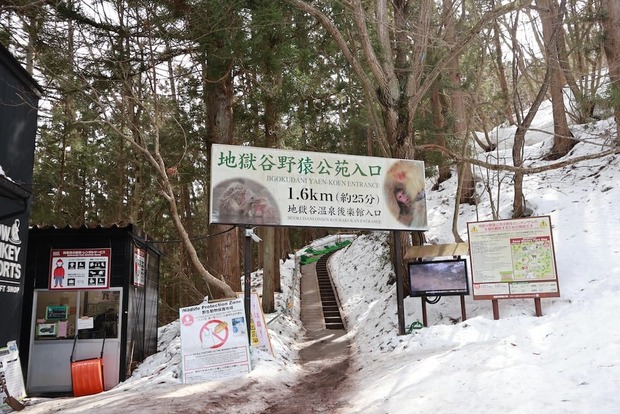 QUOnZnP