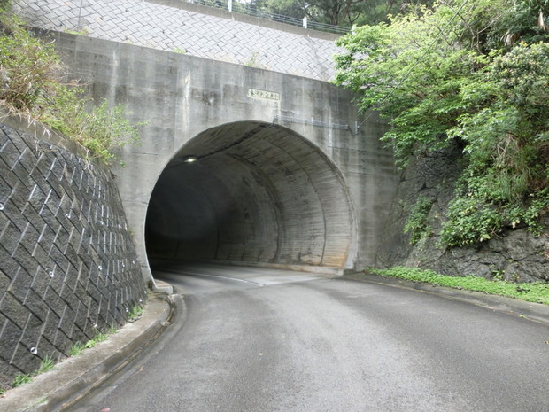 yajNynI