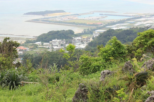 org2836336