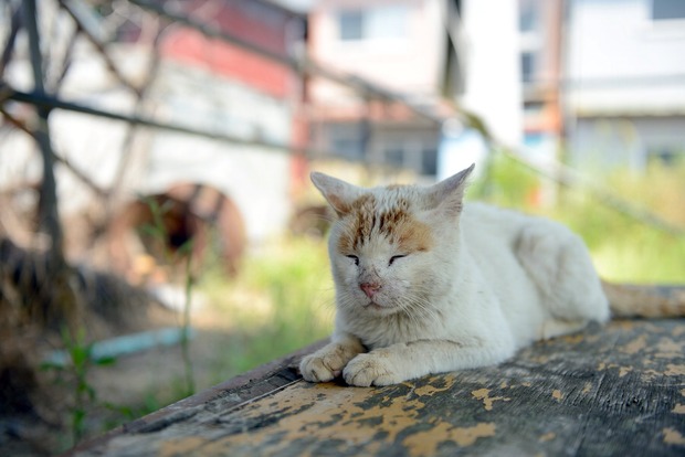 H39jBId