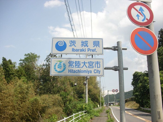 org3481677