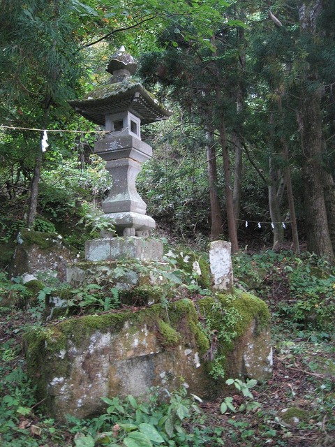 vljiko084793