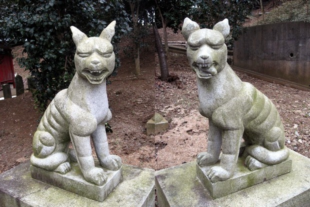 vljiko090246