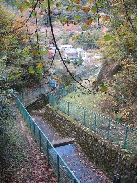 vljiko087568