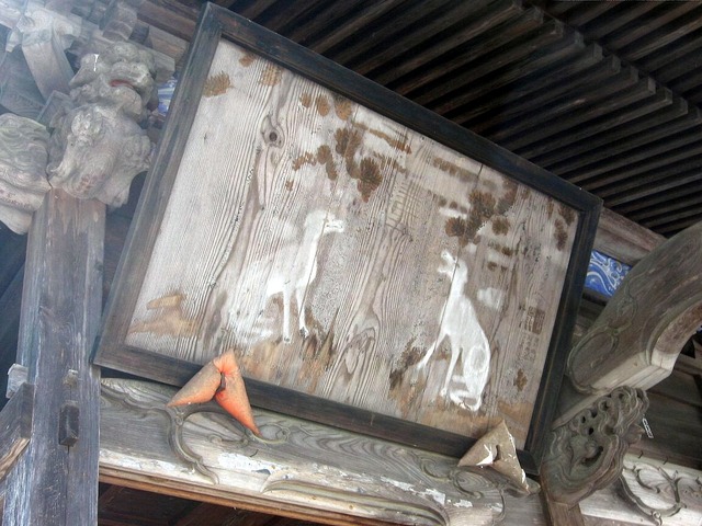 vljiko084762